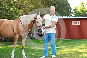 Senior veterinarian with palomino horse on sunny day