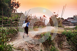 A senior vietnamese woman carrying a bundle of firewood while walking on a country pathway at dusk