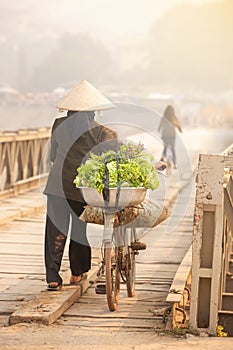 Senior Vietnamese woman walks with bicycle crossing a bridge