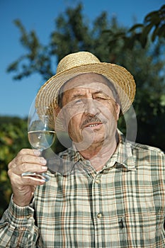 Senior vintner testing wine