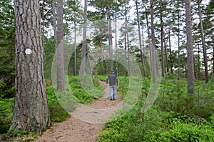 Senior walks in a pine forest