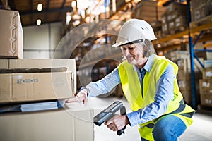 Senior warehouse woman worker working with barcode scanner.