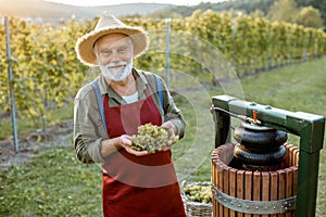 Senior winemaker with grapes near the winepress machine outdoors