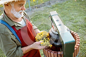 Senior winemaker with grapes near the winepress machine outdoors