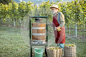 Senior winemaker with press machine on the vineyard