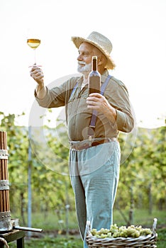 Senior winemaker tasting wine on the vineyard