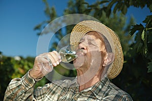 Senior winemaker testing wine