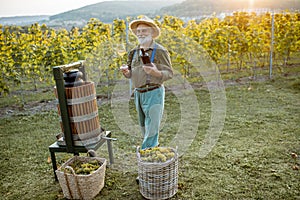 Senior winemaker with wineglass and press machine on the vineyard