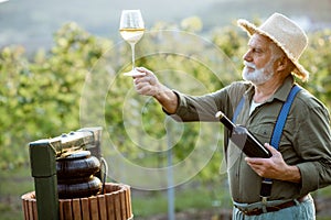 Senior winemaker with wineglass and press machine on the vineyard photo