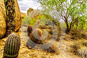 Senior Woman amidst Cacti and large Boulders in the Arizona Desert