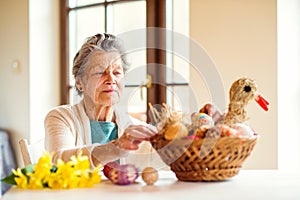 Senior woman arranging basket with Easter eggs and daffodils