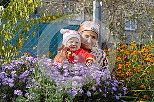 Senior woman with baby in the garden,happy grandmother with granddaughter in asters in autumn