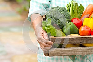 Senior woman carry fresh product of homemade vegetable ready to delivery
