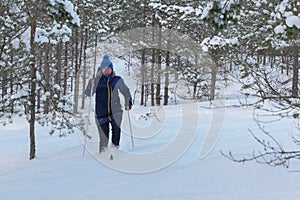 Senior woman cross country telemark skiing in snowy forest. Elderly retired baby boomer senior woman during outdoor physical