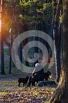 A senior woman with dog on a walk outdoors in forest, resting.