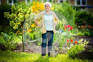 Senior woman doing some gardening in her lovely garden