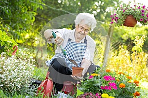 Senior woman enjoying gardening