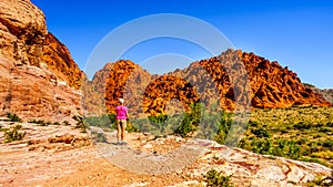 Senior Woman enjoying the view of the colorful rocks during a hike in Red Rock Canyon National Conservation Area