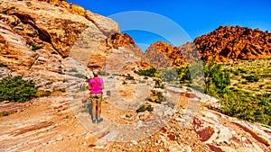 Senior Woman enjoying the view of the colorful rocks during a hike in Red Rock Canyon National Conservation Area