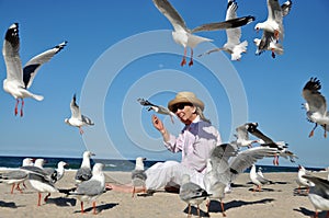 Una mujer alimentación rebano gaviotas sobre el Playa 