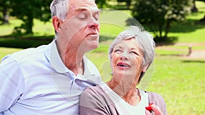 Senior woman feeding her husband a strawberry in the park