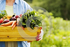 Senior woman in garden