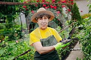 Senior woman gardener in a hat working in her yard with work tools. The concept of gardening, growing and caring for flowers and
