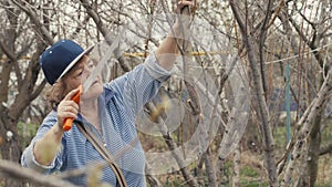 Senior woman gardener sawing branches fruit tree while gardening work