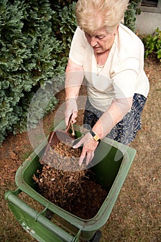 Senior woman gardening