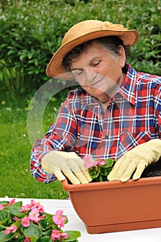 Senior woman - gardening