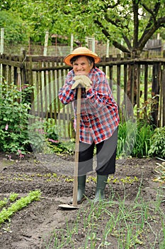 Senior woman gardening