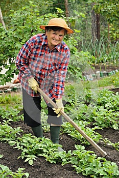 Senior woman gardening