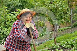 Senior woman gardening