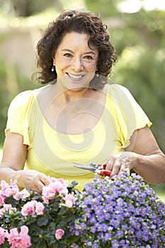 Senior Woman Gardening