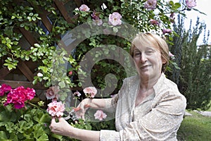 Senior Woman Gardening