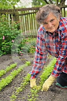 Senior woman gardening