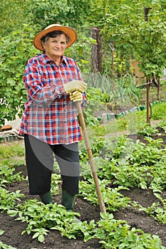 Senior woman gardening