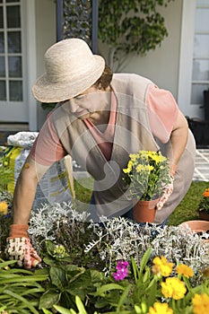 Senior Woman Gardening