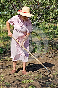 Senior woman gardening