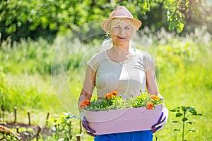 Senior woman gardening