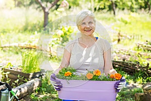 Senior woman gardening