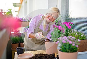 Senior woman gardening on balcony in summer, planting flowers.