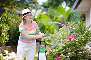 Senior woman gardening. Garden plants, flowers
