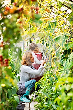 Senior woman with grandaughter gardening in the backyard garden.