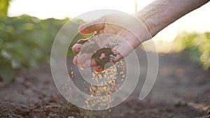 Senior woman hand checking soil quality