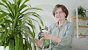 Senior woman hand spray on leave plants in the morning at home using a spray bottle watering houseplants. Plant care