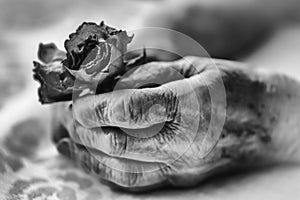 Senior woman hands and flowers