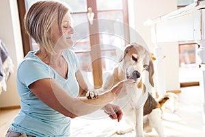 Senior woman with her dog