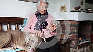 Senior woman with her dog at home video chatting with her family