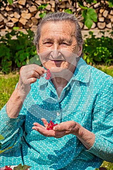 Senior woman in her garden and homegrown redcurrants